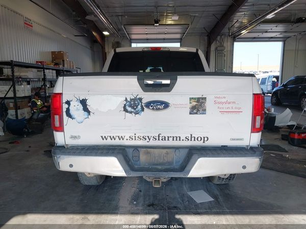 2019 FORD F-150 XLT