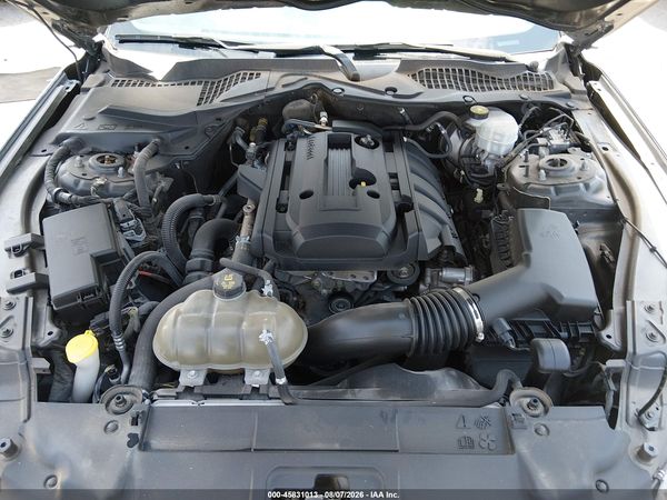 2019 FORD MUSTANG ECOBOOST