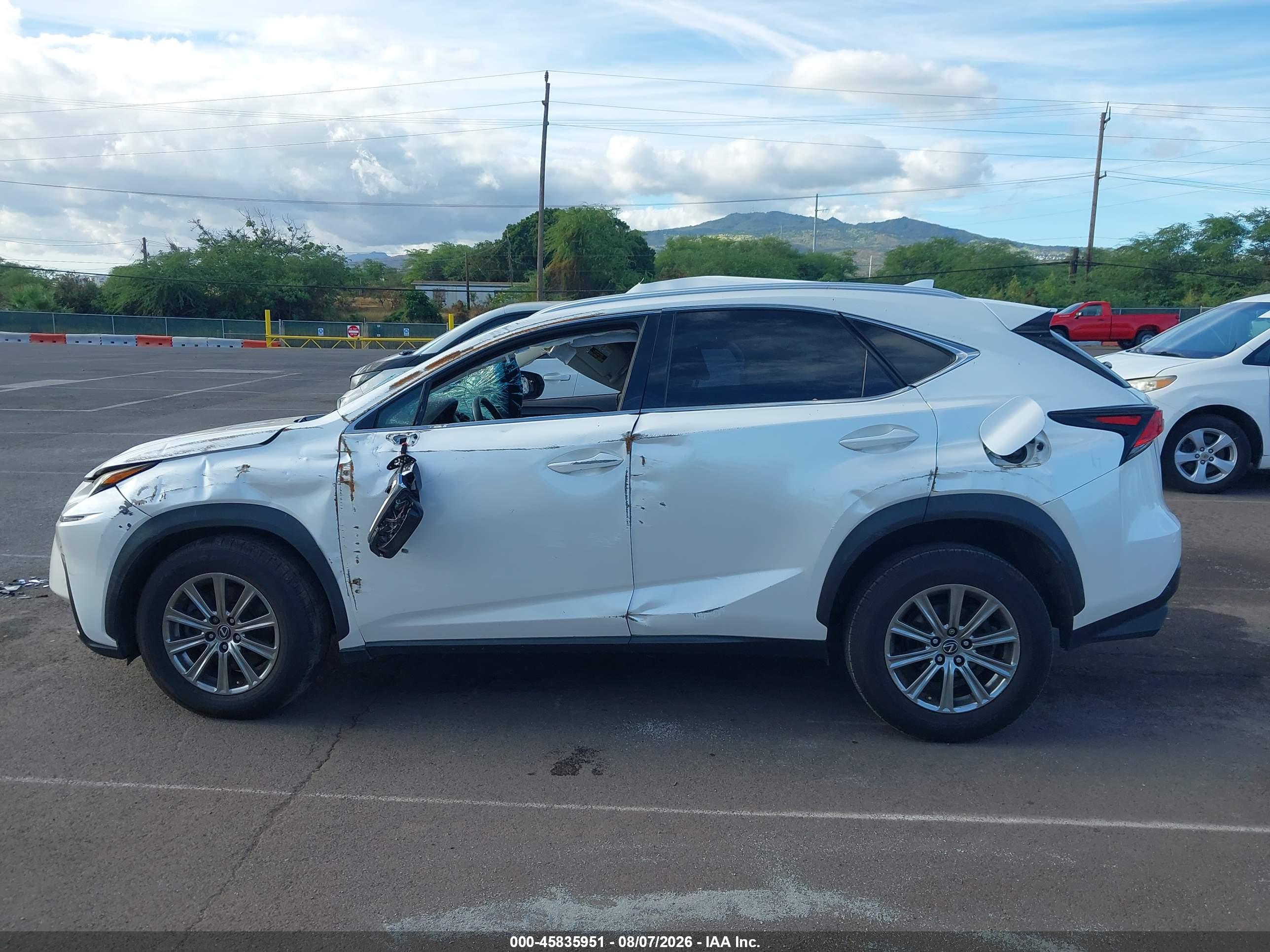 2019 LEXUS NX 300 300 Luxury