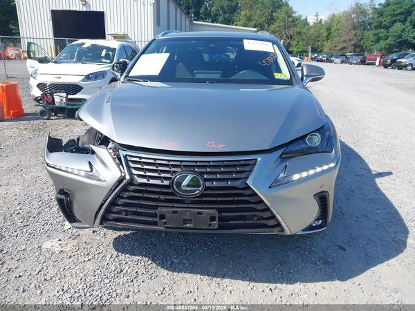 2019 LEXUS NX 300 300 Luxury