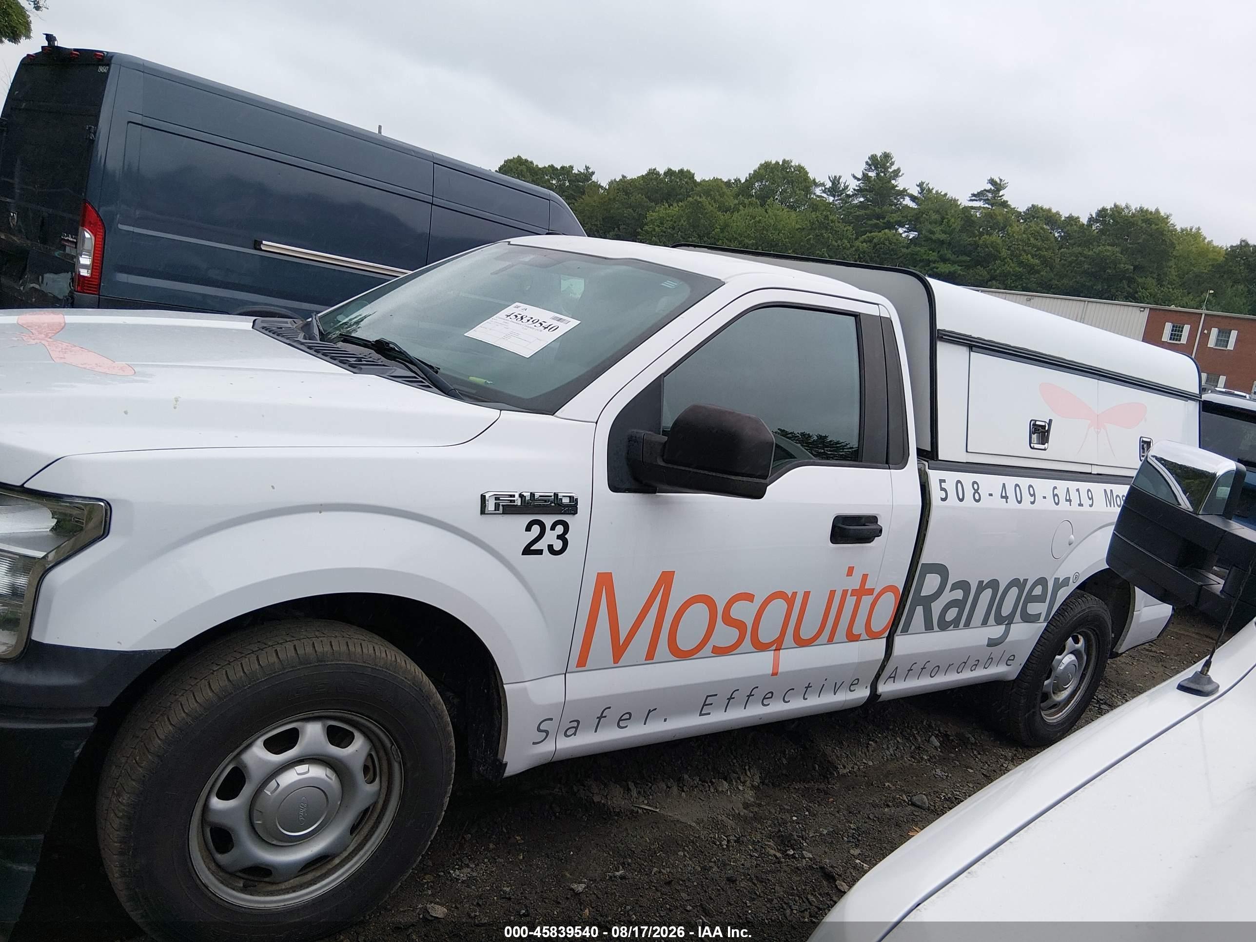 2019 FORD F-150 XL
