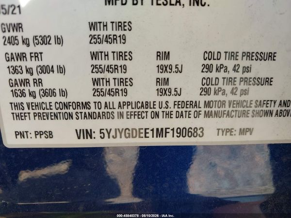 2021 TESLA MODEL Y