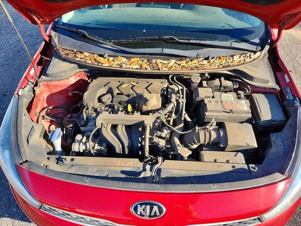 2020 KIA RIO