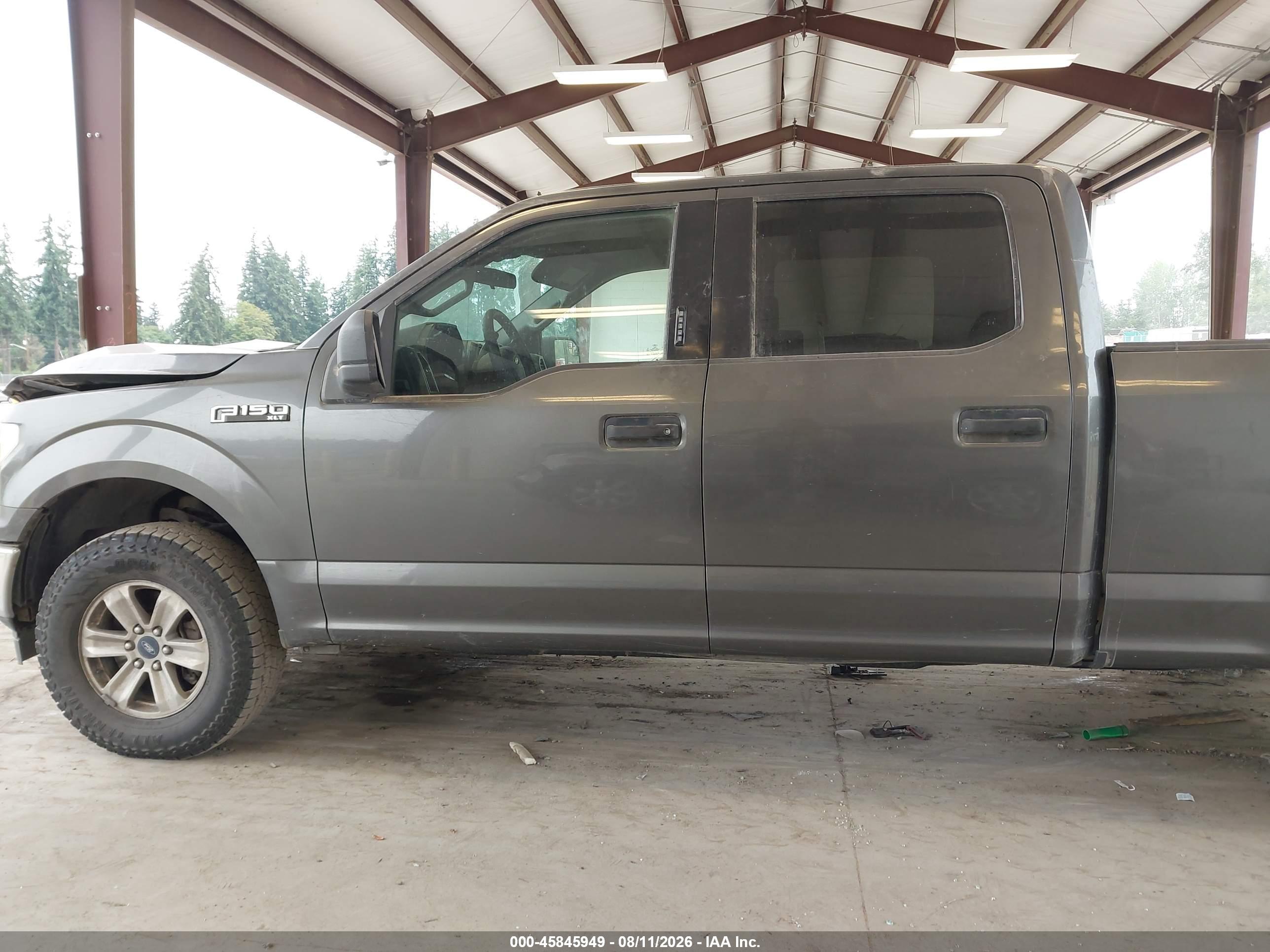 2019 FORD F-150 XLT