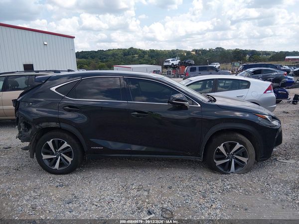 2019 LEXUS NX 300H 300H Luxury