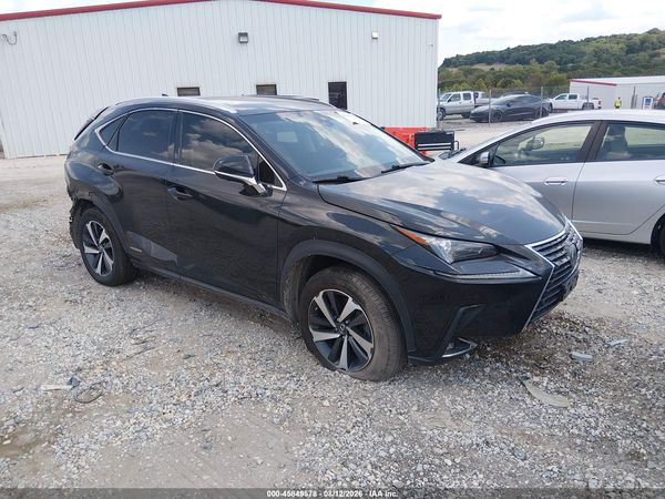 2019 LEXUS NX 300H 300H Luxury