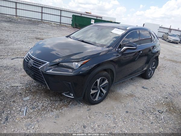 2019 LEXUS NX 300H 300H Luxury