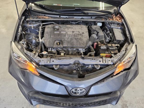 2019 TOYOTA COROLLA L/LE/SE/XLE/XSE