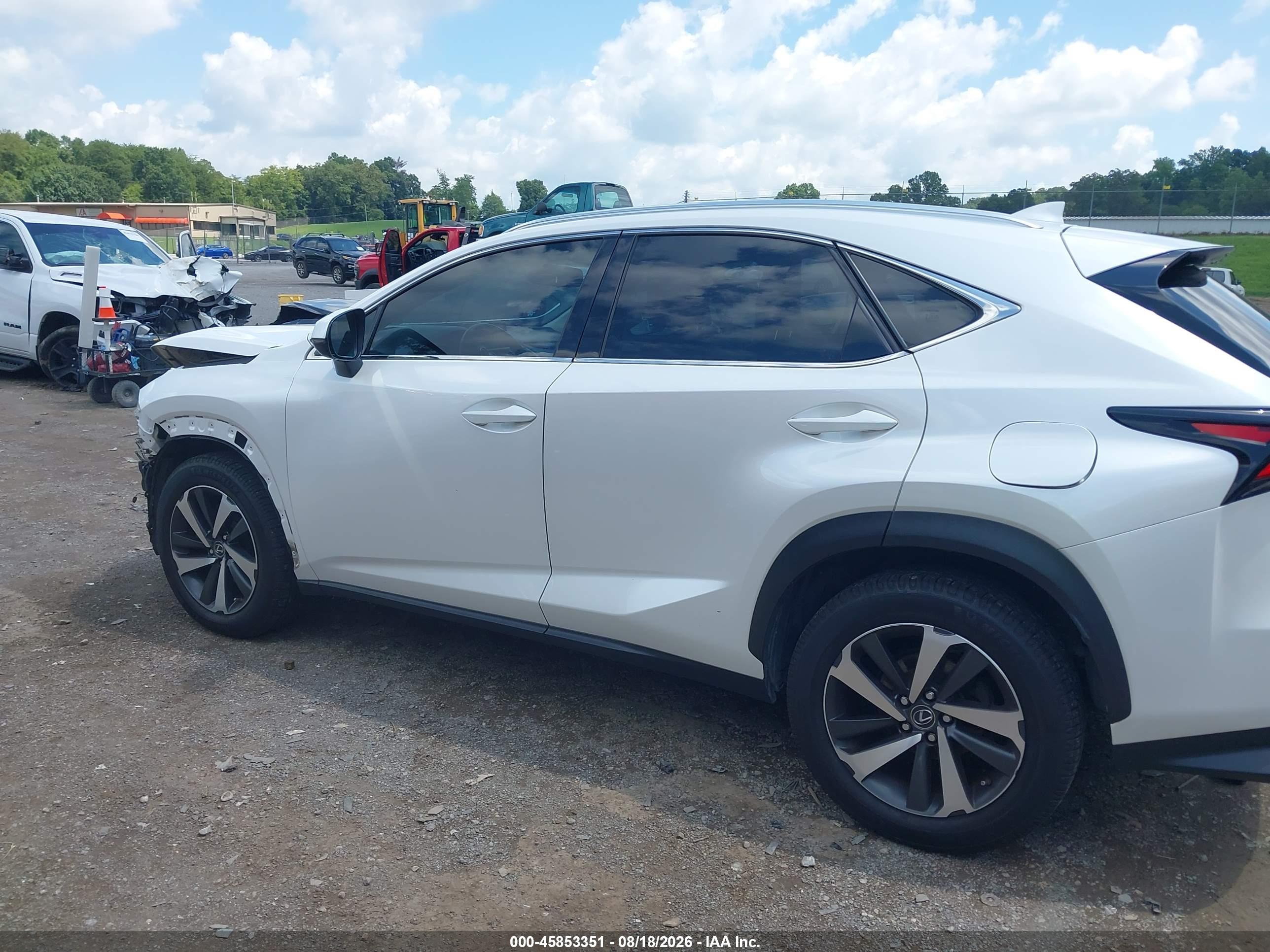 2019 LEXUS NX 300 300 Luxury
