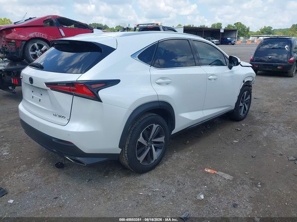 2019 LEXUS NX 300 300 Luxury