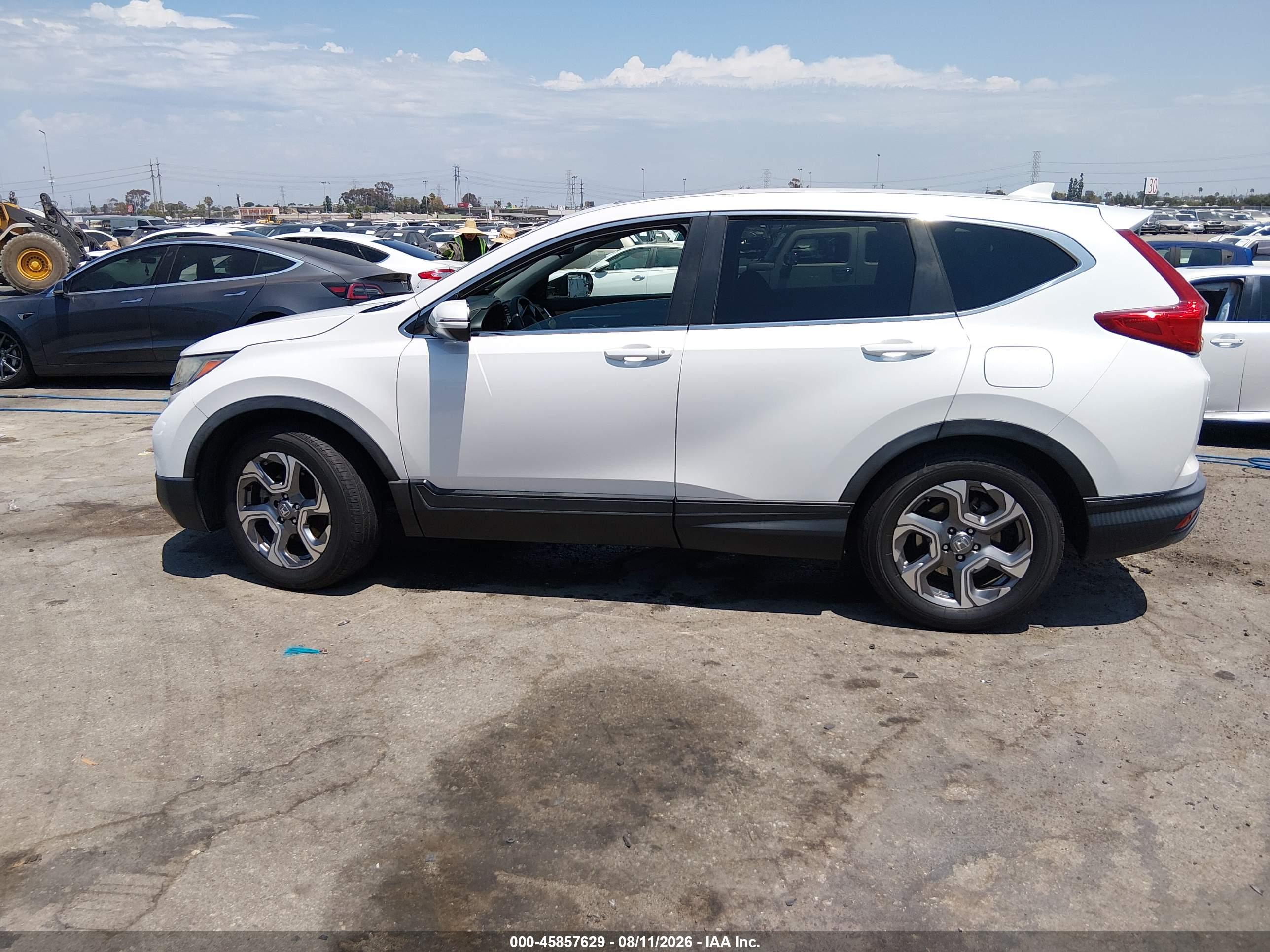 2019 HONDA CR-V EX