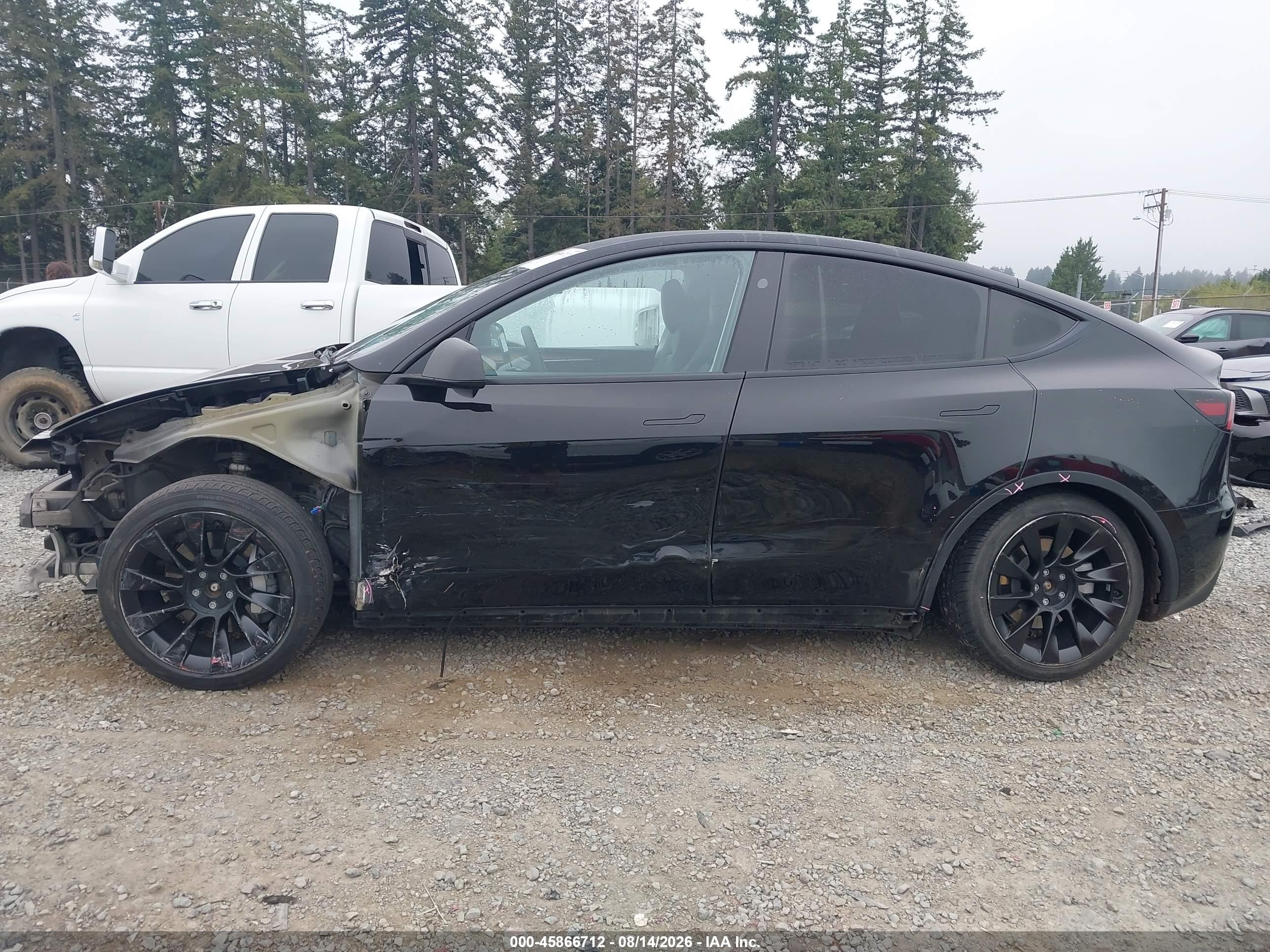 2024 TESLA MODEL Y
