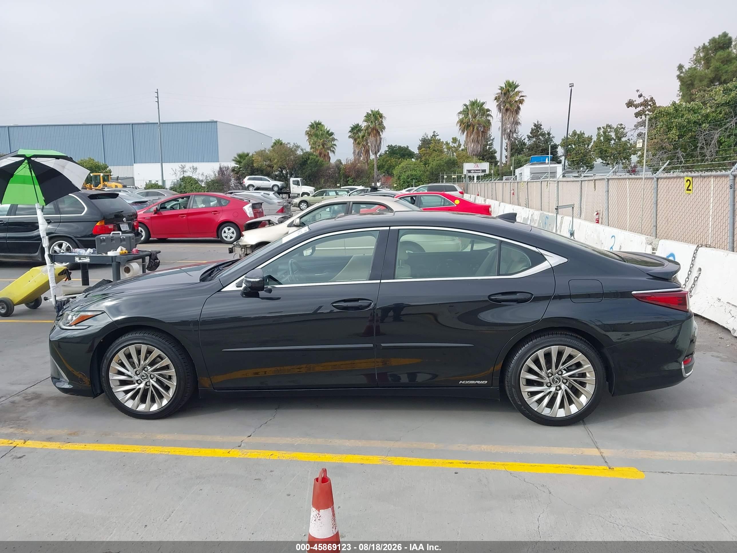 2019 LEXUS ES 300H LUXURY