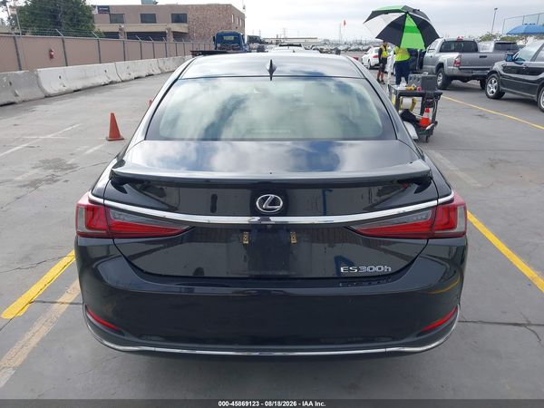 2019 LEXUS ES 300H LUXURY