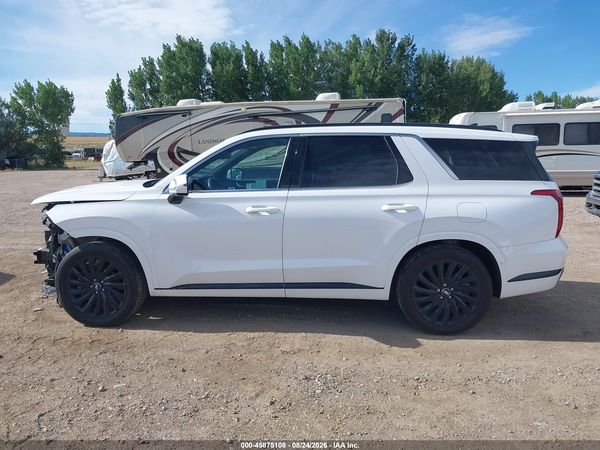 2025 HYUNDAI PALISADE — I117