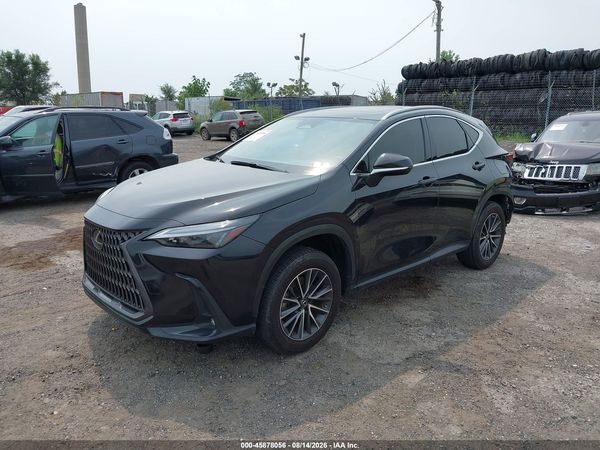2023 LEXUS NX 250 PREMIUM