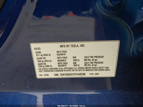 2026 TESLA MODEL Y