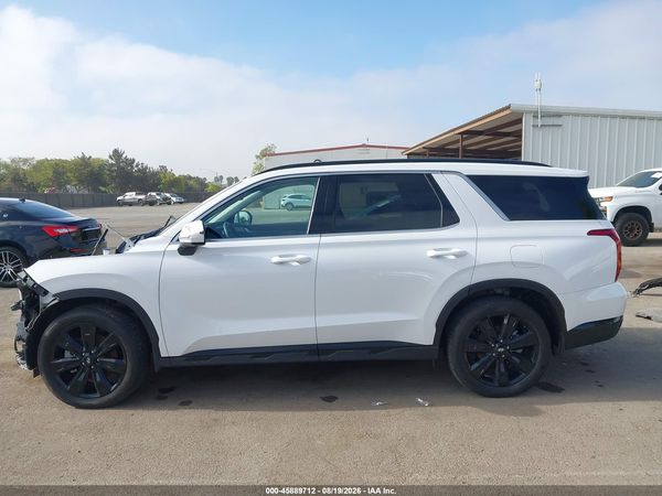 2025 HYUNDAI PALISADE XRT — I117