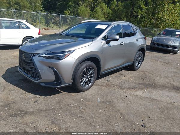 2024 LEXUS NX 350 PREMIUM