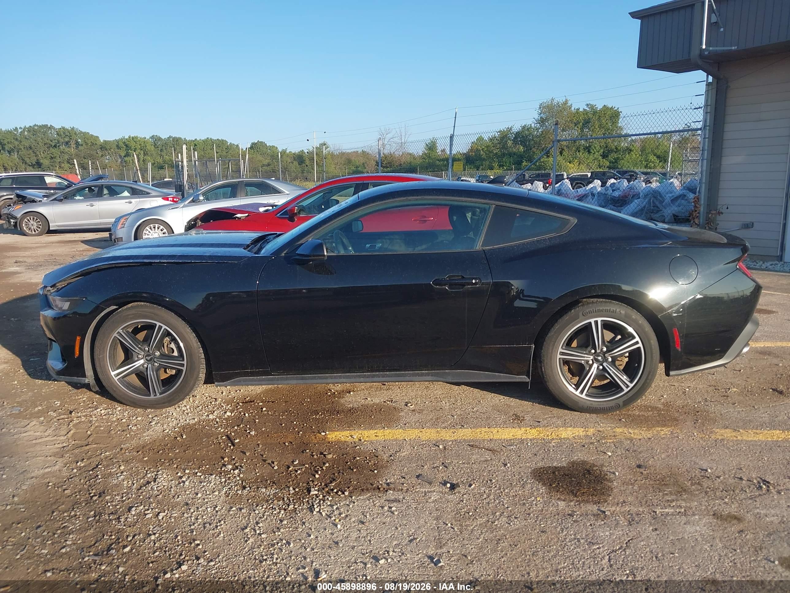 2024 FORD MUSTANG ECOBOOST FASTBACK