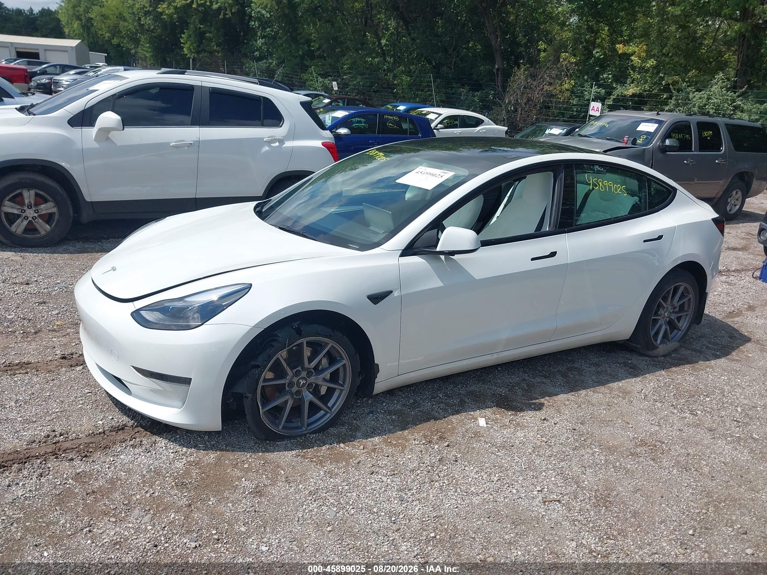 2023 TESLA MODEL 3 REAR-WHEEL DRIVE