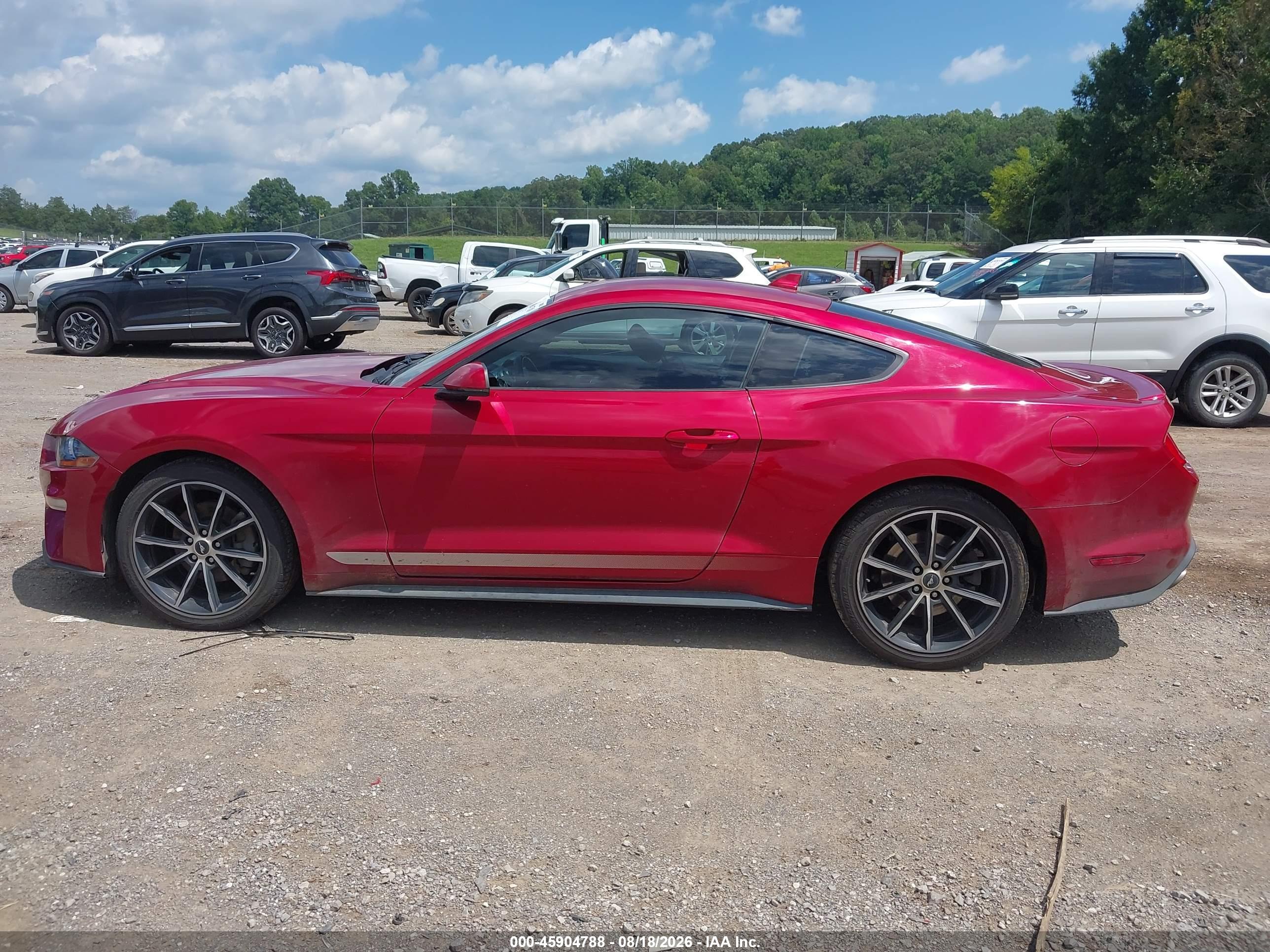 2021 FORD MUSTANG