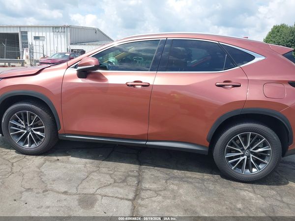 2025 LEXUS NX 250