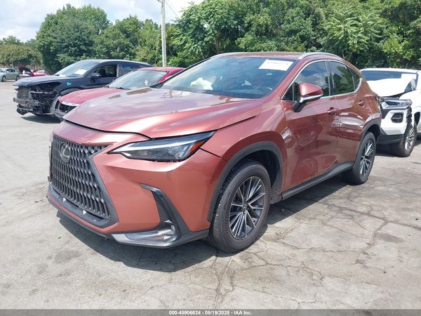 2025 LEXUS NX 250 350 Base