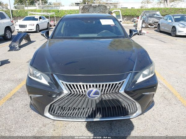 2019 LEXUS ES 300H