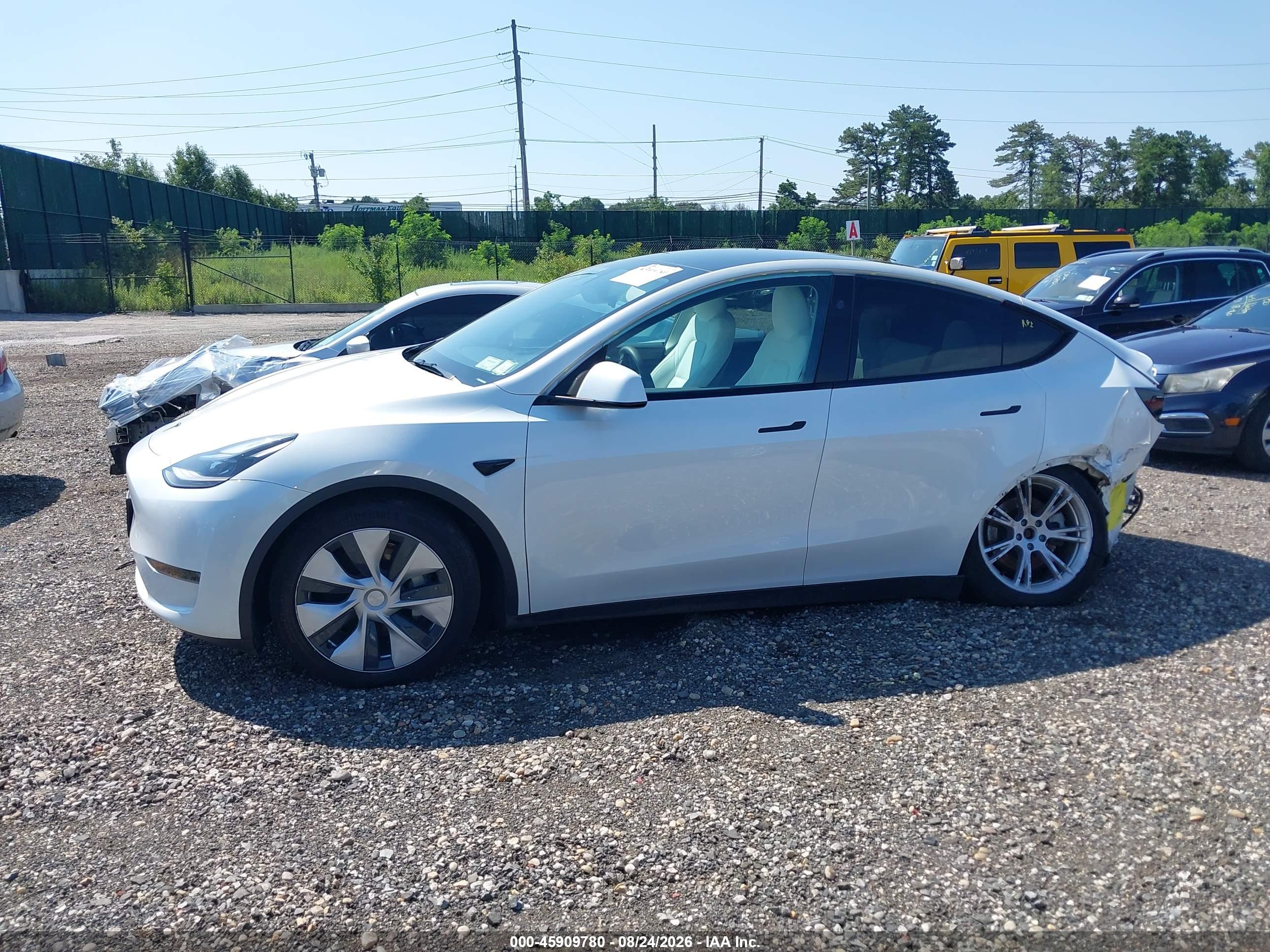 2024 TESLA MODEL Y