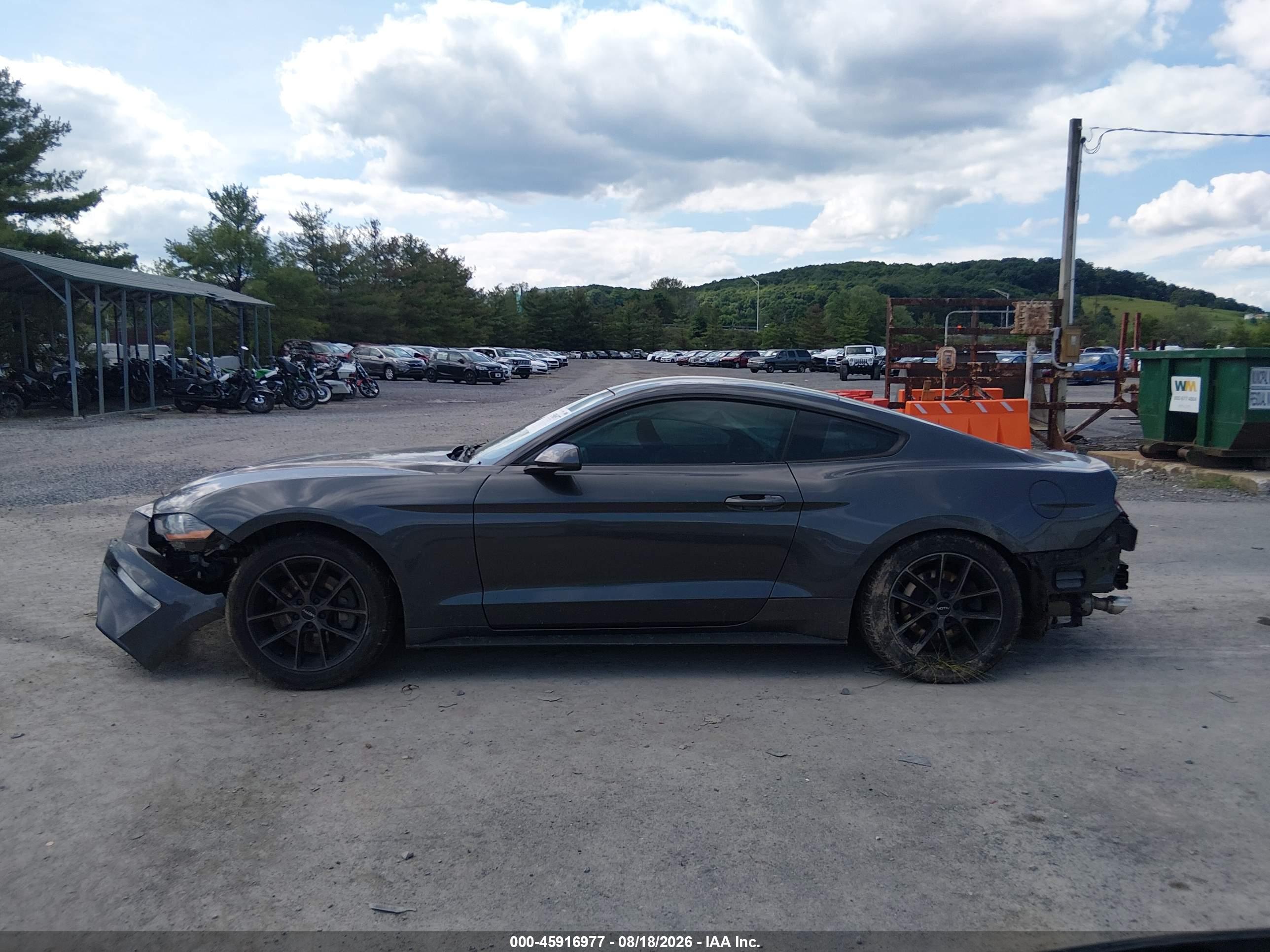 2019 FORD MUSTANG ECOBOOST