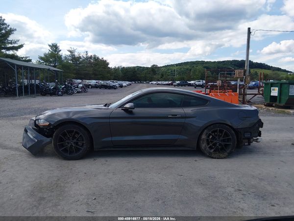 2019 FORD MUSTANG