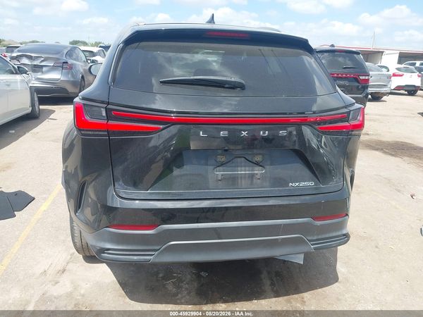 2022 LEXUS NX 250 350 Base