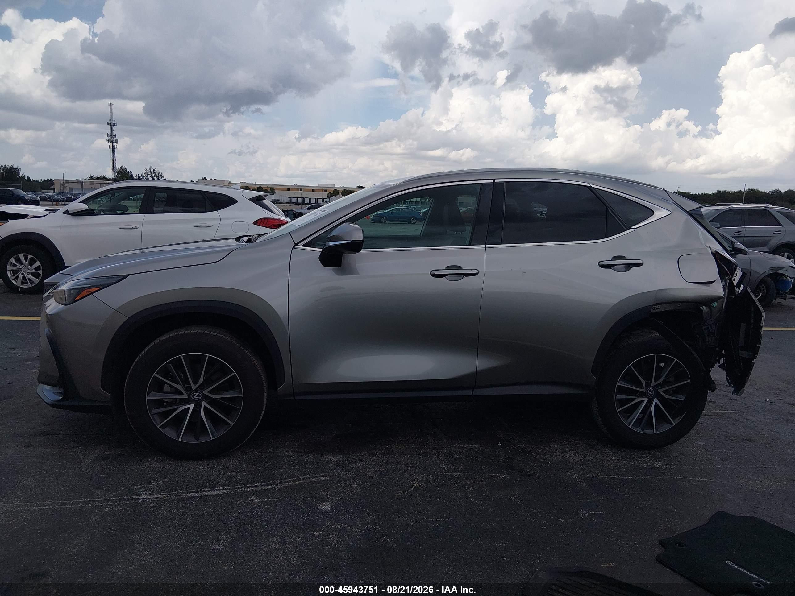 2025 LEXUS NX 250 350 Base