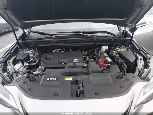 2025 LEXUS NX 250 350 Base