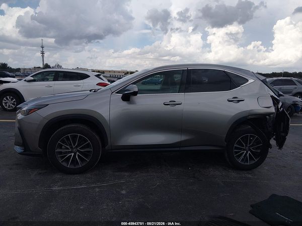 2025 LEXUS NX 250 350 Base