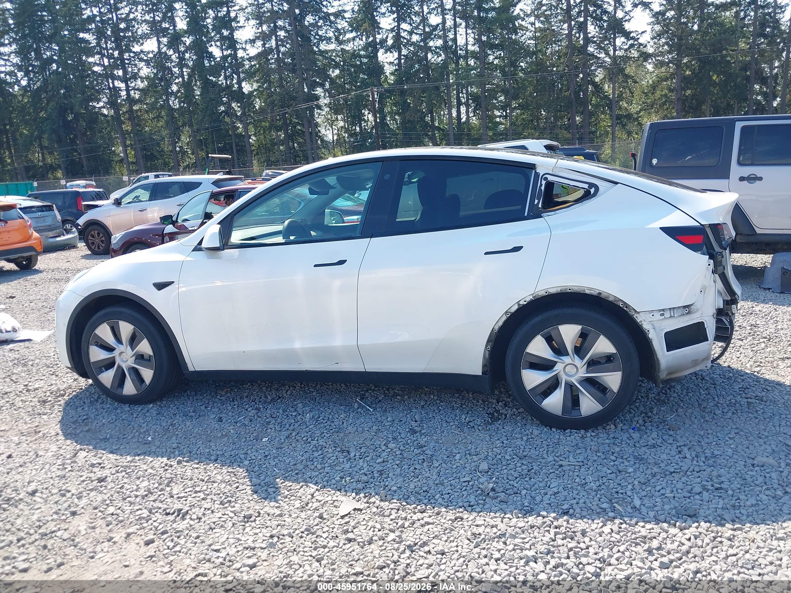 2021 TESLA MODEL Y