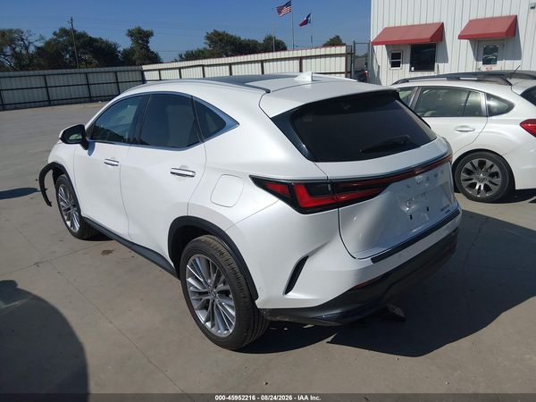 2025 LEXUS NX 350 LUXURY