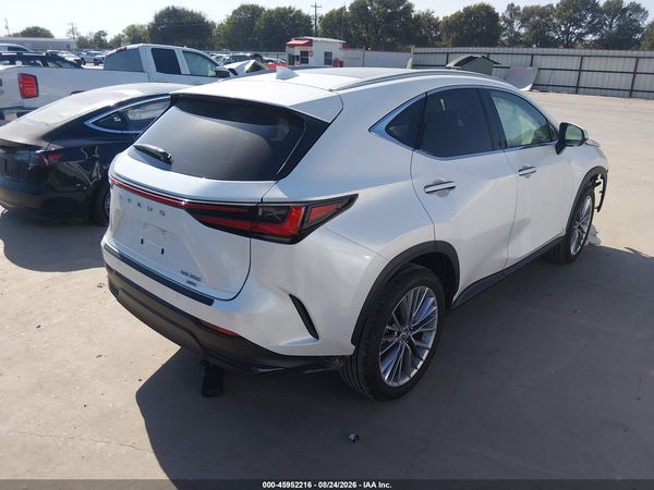 2025 LEXUS NX 350 LUXURY