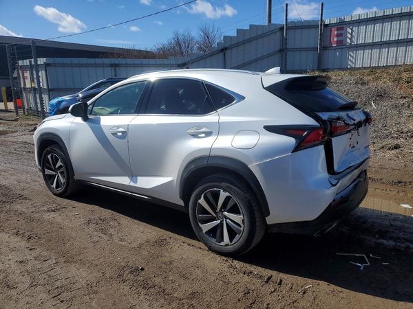 2019 LEXUS NX 300 300 Luxury