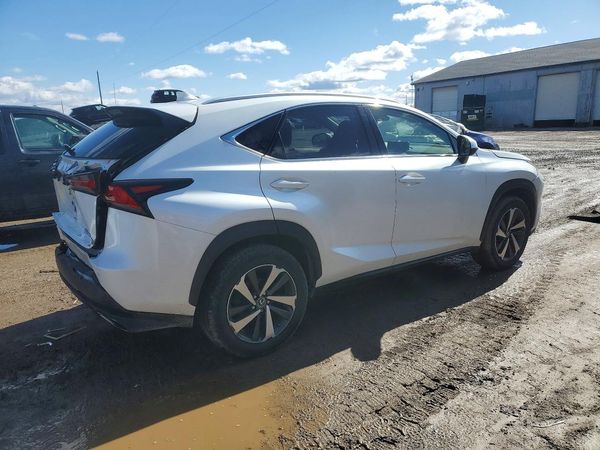 2019 LEXUS NX 300 300 Luxury