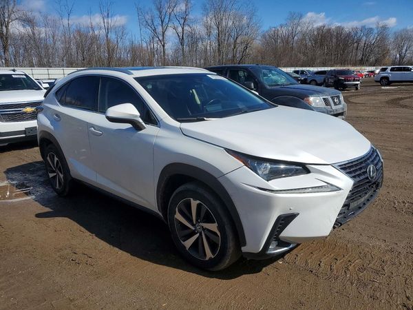 2019 LEXUS NX 300 300 Luxury