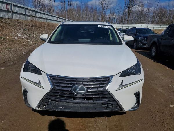 2019 LEXUS NX 300 300 Luxury