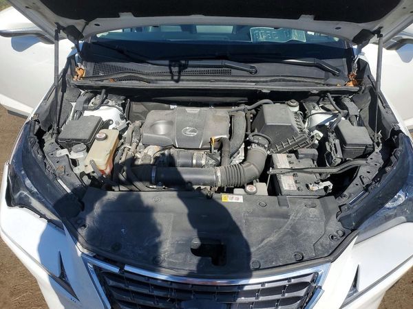 2019 LEXUS NX 300 300 Luxury