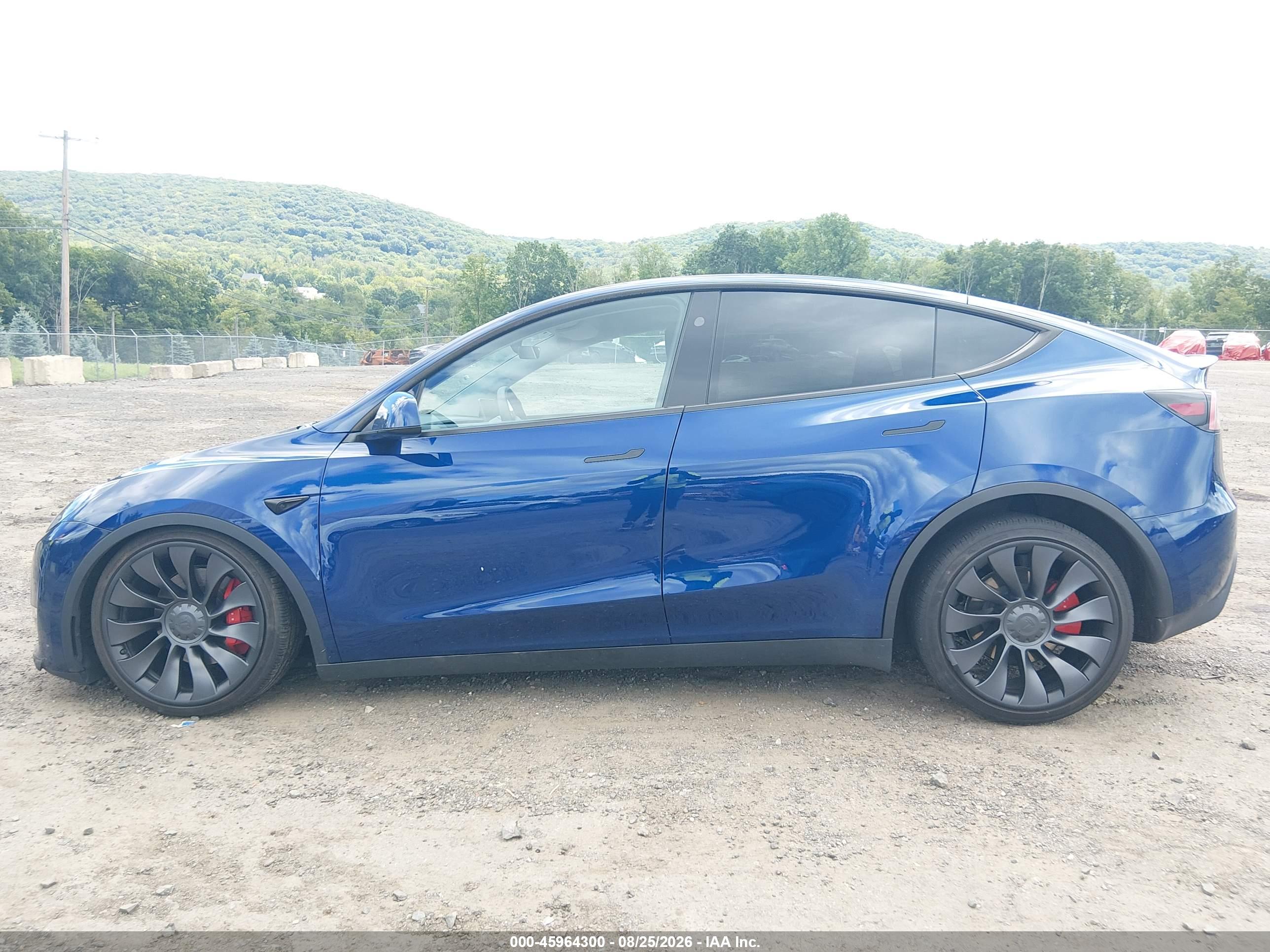 2024 TESLA MODEL Y