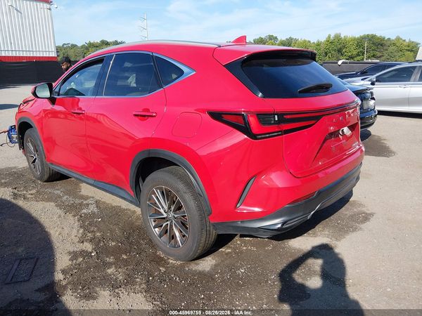 2024 LEXUS NX 350 PREMIUM — I3