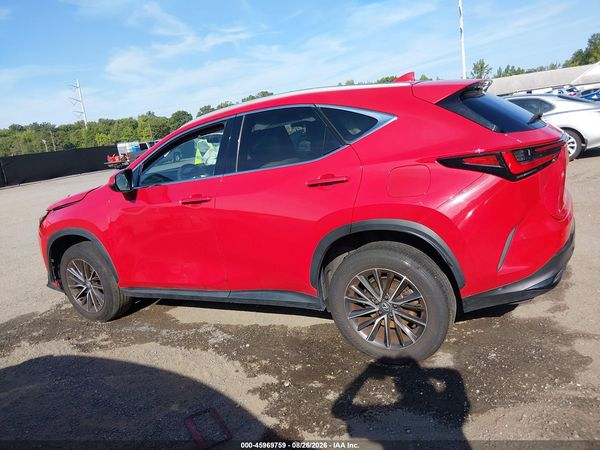 2024 LEXUS NX 350 PREMIUM — I117
