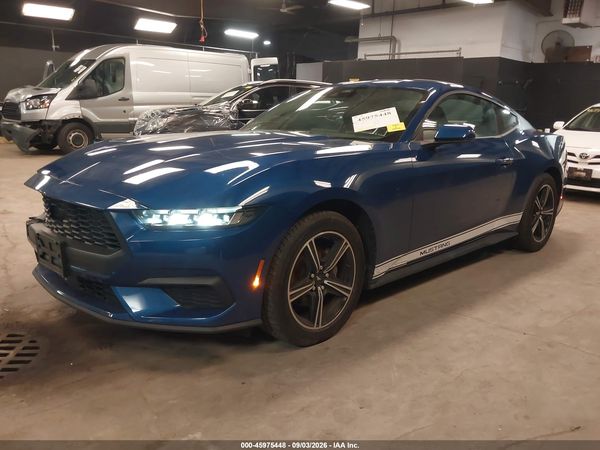 2024 FORD MUSTANG ECOBOOST FASTBACK