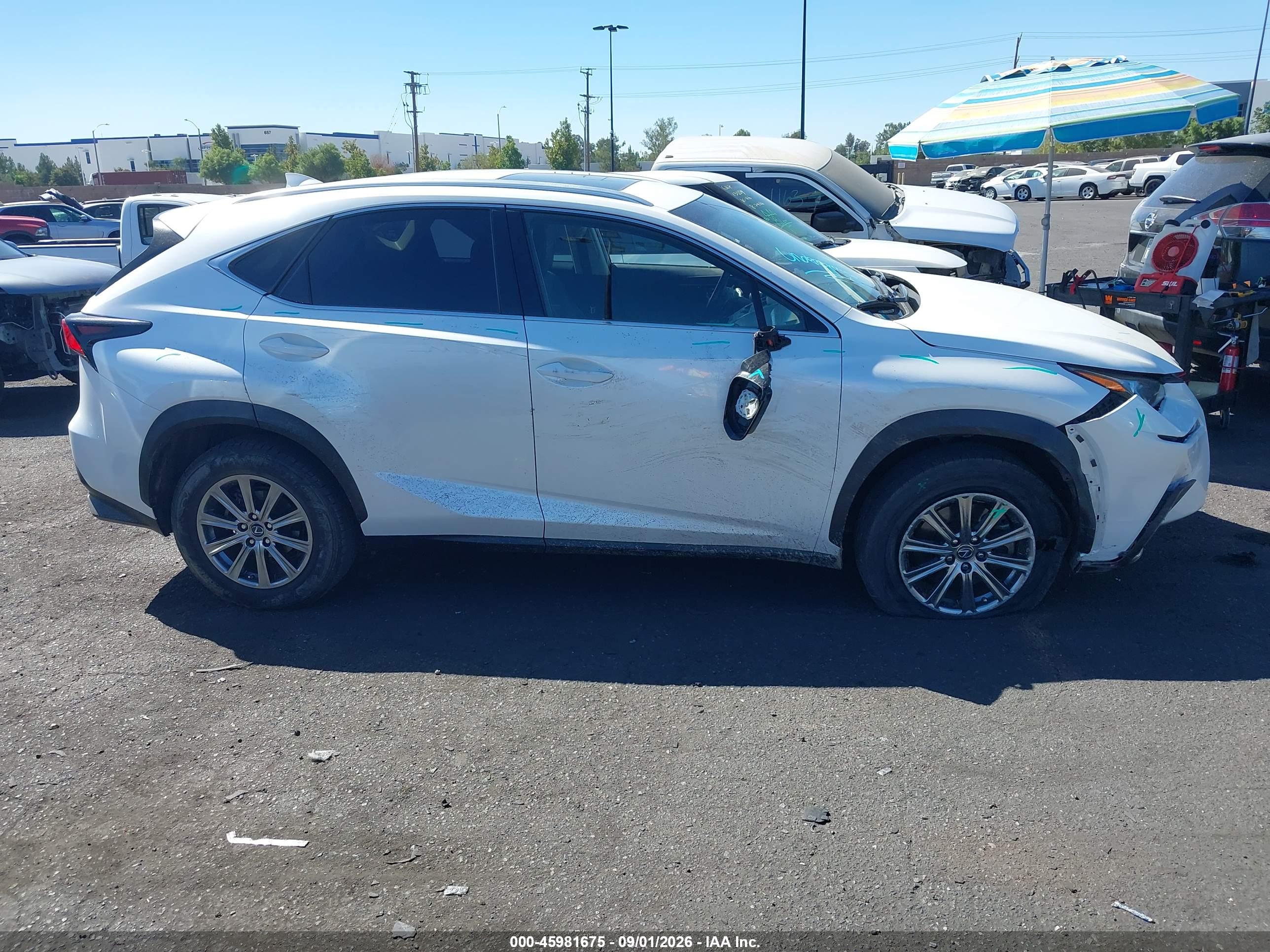 2019 LEXUS NX 300 300 Luxury