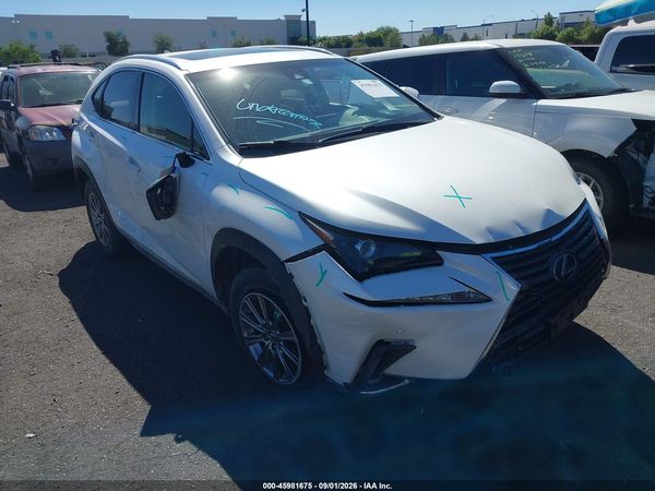 2019 LEXUS NX 300 300 Luxury